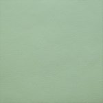 Vert pastel (agneau)