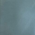 Gris bleu (renne)
