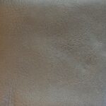 Kaki gris (renne)